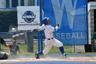 Baseball vs Babson  Wheaton College Baseball vs Babson during Championship game of the NEWMAC Championship hosted by Wheaton. - (Photo by Keith Nordstrom) : Wheaton, baseball, NEWMAC